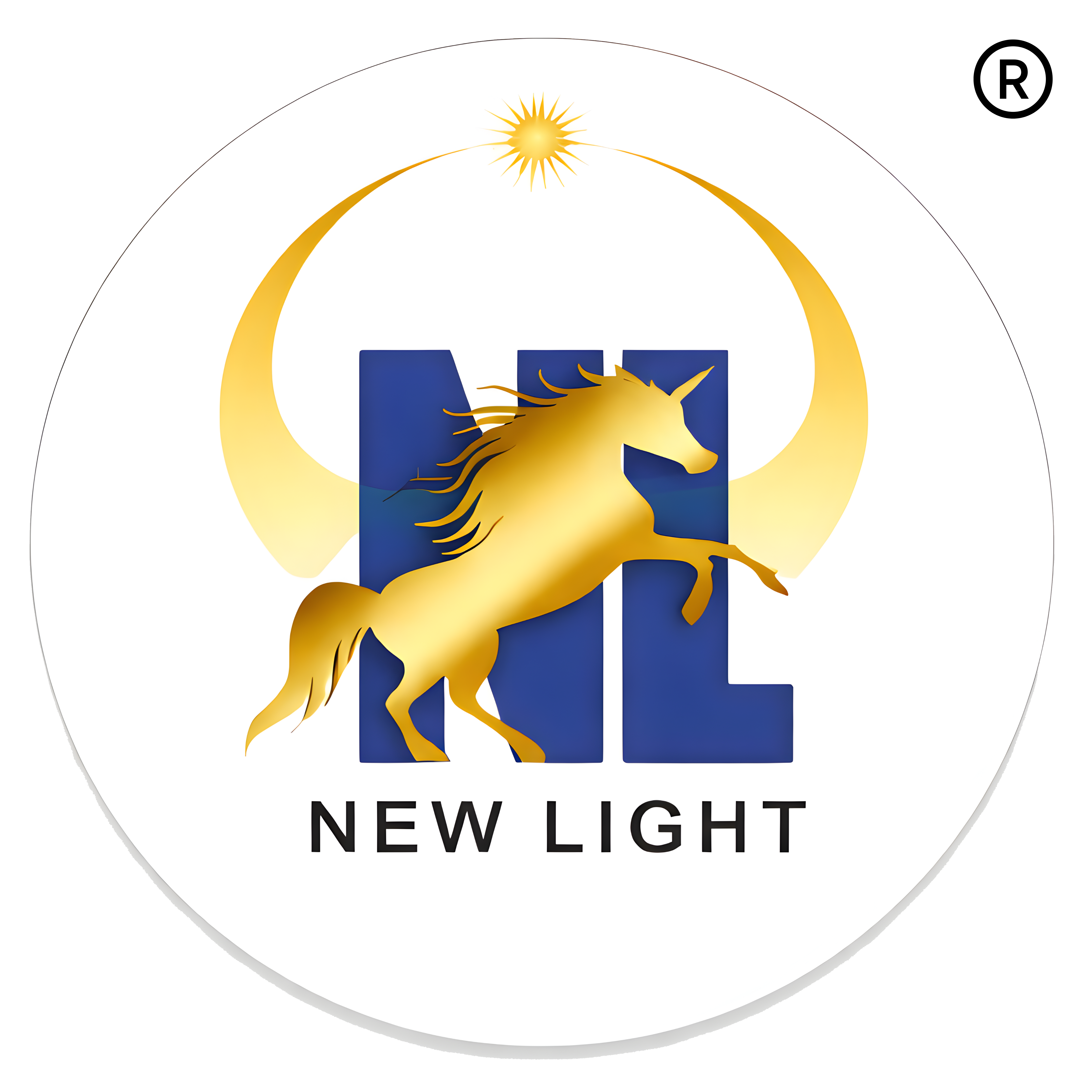 New Light International School Logo